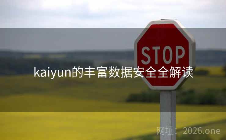 kaiyun的丰富数据安全全解读 kaiyun的丰富数据安全全解读