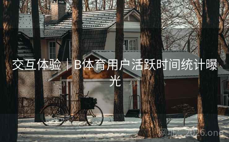 交互体验｜B体育用户活跃时间统计曝光