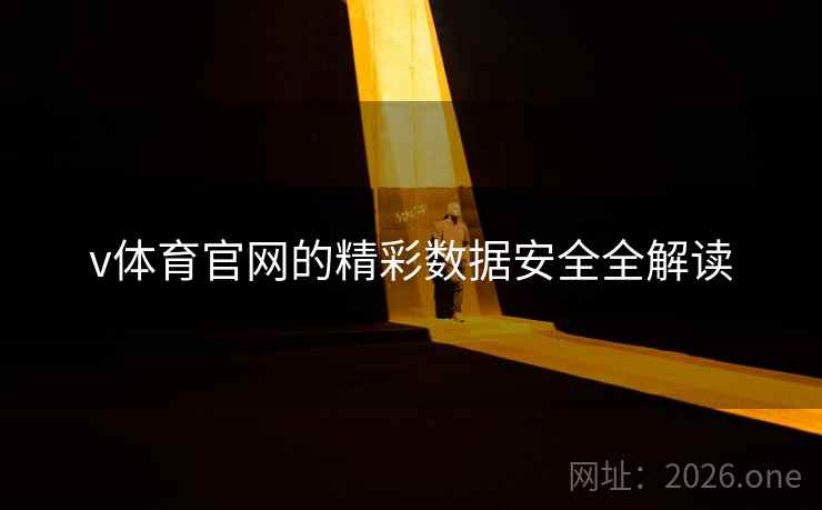 v体育官网的精彩数据安全全解读 v体育官网的精彩数据安全全解读