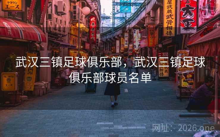 武汉三镇足球俱乐部，武汉三镇足球俱乐部球员名单