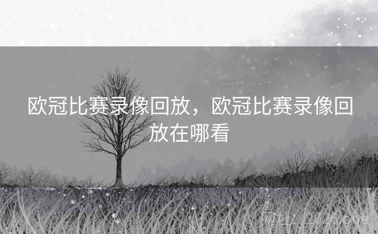 欧冠比赛录像回放,欧冠比赛录像回放在哪看 欧冠比赛录像回放,欧冠比赛录像回放在哪看