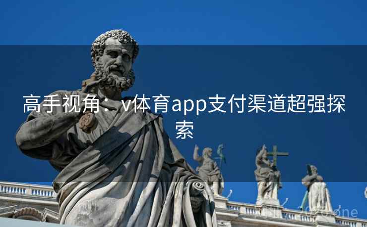 高手视角：v体育app支付渠道超强探索